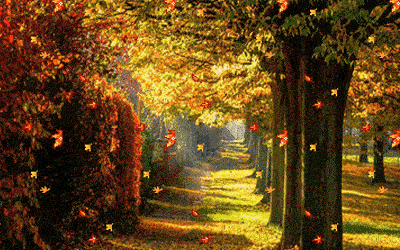 Herbst Herbst